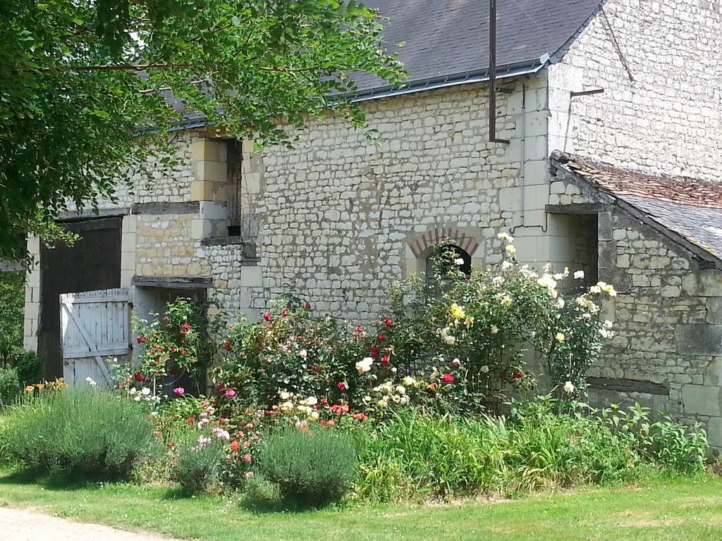 La Cle Des Jardins Bed & Breakfast Nouâtre Екстериор снимка
