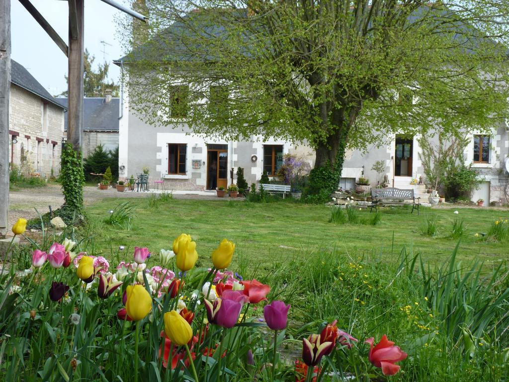 La Cle Des Jardins Bed & Breakfast Nouâtre Екстериор снимка