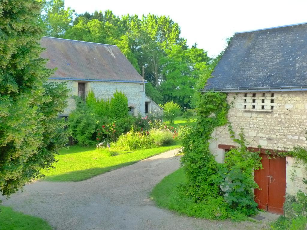 La Cle Des Jardins Bed & Breakfast Nouâtre Екстериор снимка