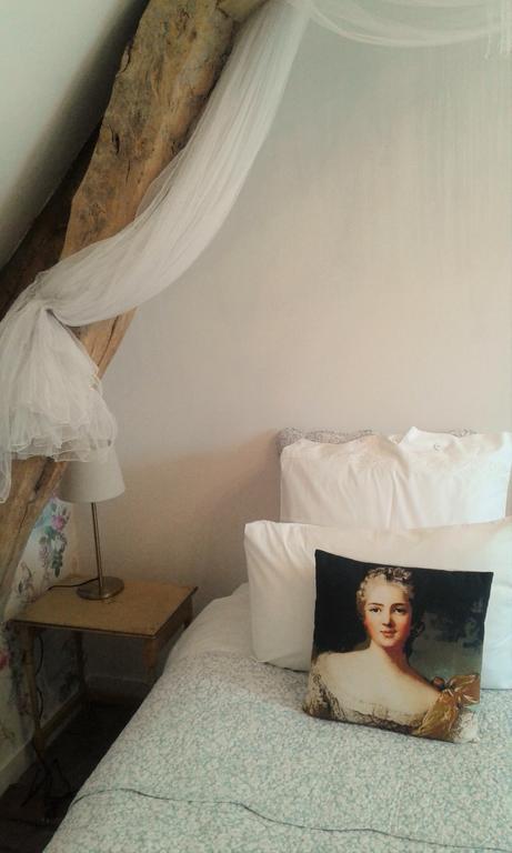 La Cle Des Jardins Bed & Breakfast Nouâtre Екстериор снимка