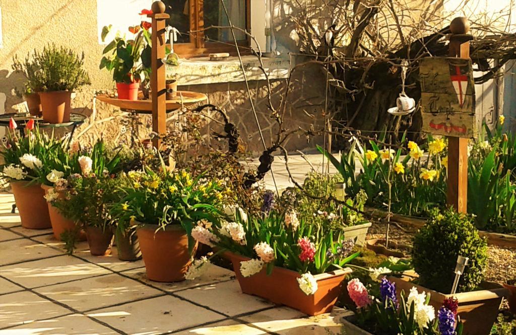 La Cle Des Jardins Bed & Breakfast Nouâtre Екстериор снимка