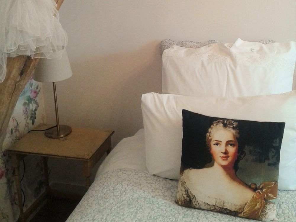 La Cle Des Jardins Bed & Breakfast Nouâtre Екстериор снимка